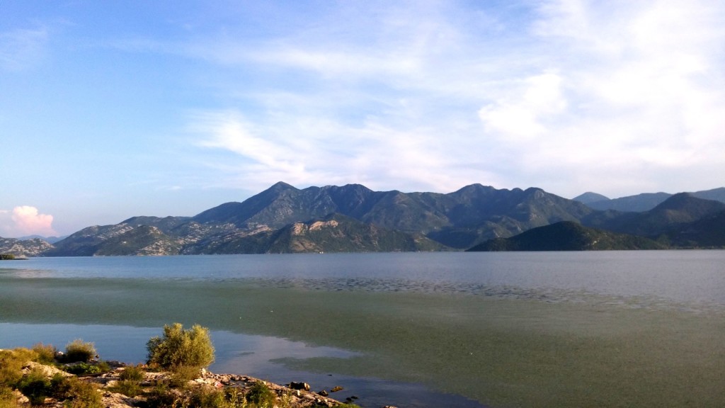 Jezioro Szkoderskie Czarnogóra